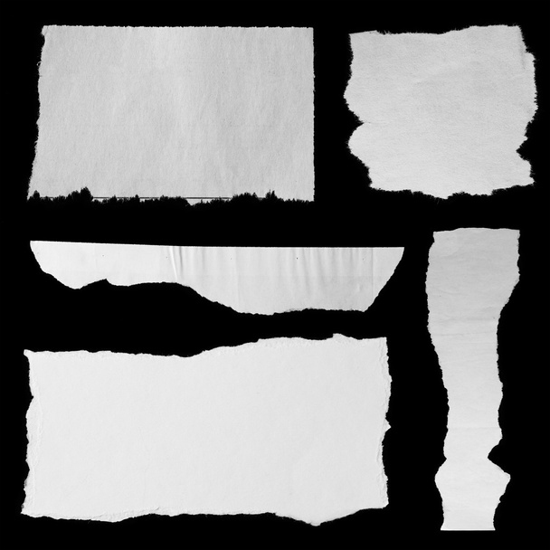 Torn papers  - Photo, Image