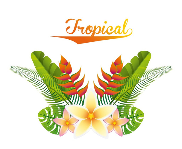 Tropical nature design - Vector, Image
