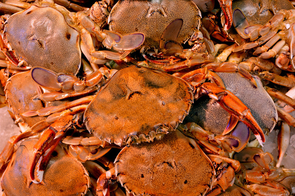 Nager crabes exposés dans le marché aux poissons
 - Photo, image