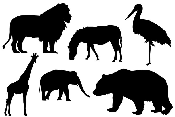 Silhouette of wild animals - Vector, Image