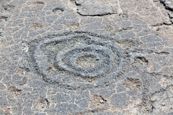Petroglyphe - Foto, Bild