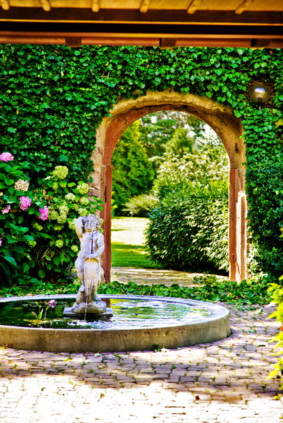 Ylellinen puutarha-aita
 - Valokuva, kuva