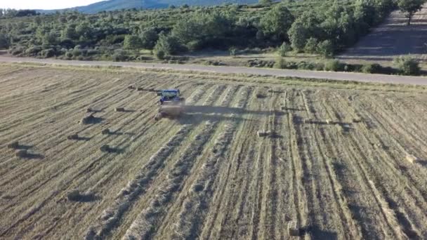 Vista aérea del tractor preparando fardos cuadrados al atardecer, 4k
 - Imágenes, Vídeo