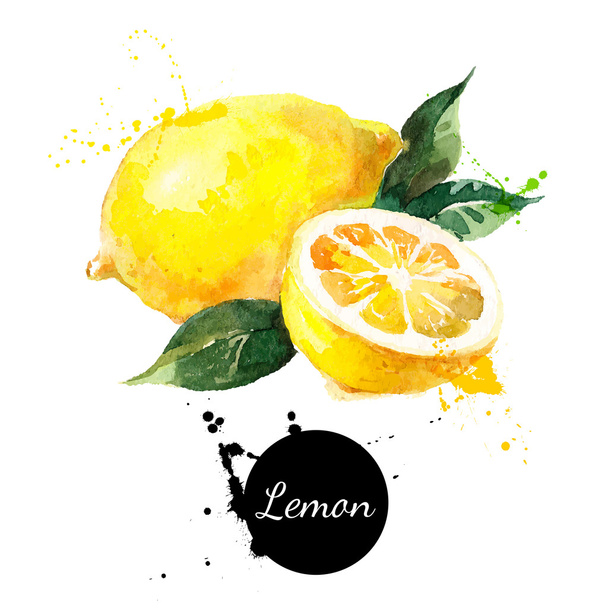 Hand drawn watercolor painting lemon - Vector, Image