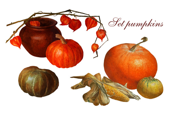  Set pumpkins painted in watercolor , isolated on white backgrou - Vector, Image