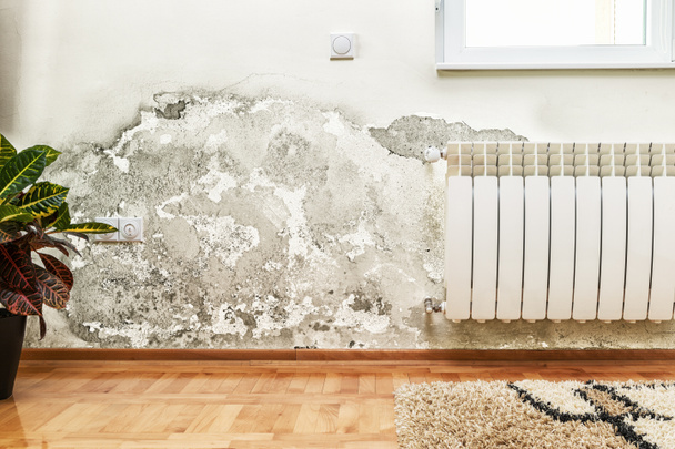 Moule et accumulation d'humidité sur le mur d'une maison moderne
 - Photo, image