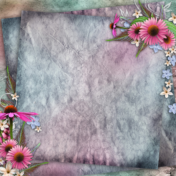 Greeting card with rudbeckia  flowers - Фото, зображення