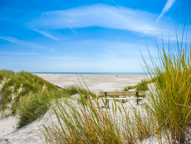 Beautiful dune landscape and long beach at North Sea - Photo, Image