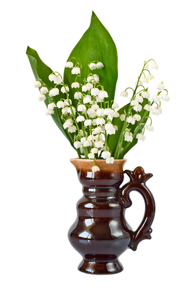 Bouquet of lilies of the valley - Photo, Image