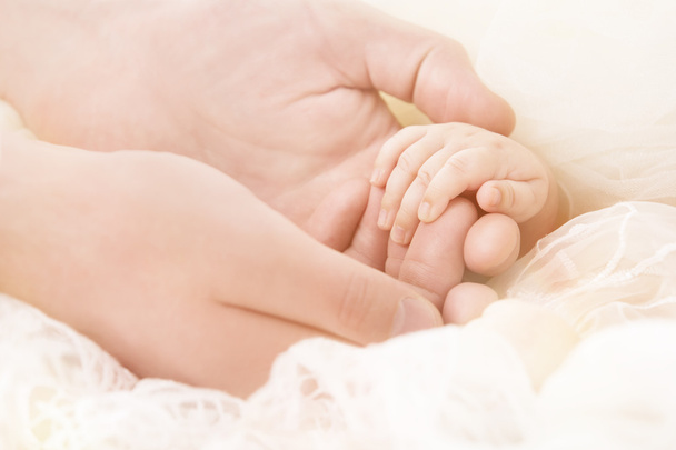 La mano del bebé, la madre sostiene al niño recién nacido, el niño pequeño del recién nacido del tacto del padre, familia
 - Foto, imagen