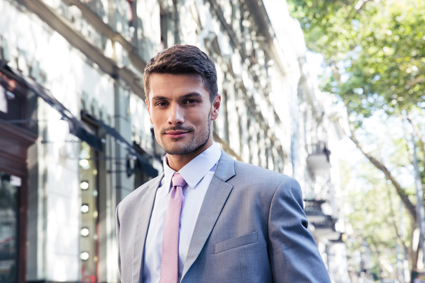 Portrait of a handsome businessman in suit outdoors - Zdjęcie, obraz