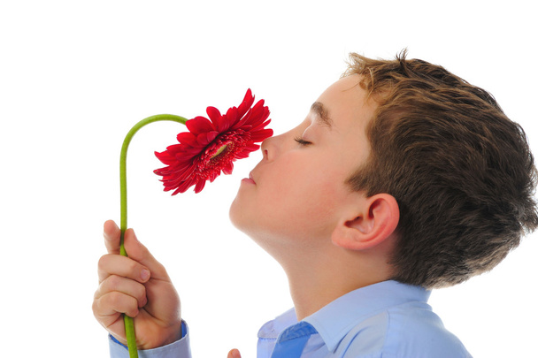 Boy with flower - Фото, изображение