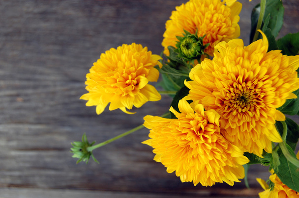 bouquet of Yellow Chrysanthemum - Photo, Image