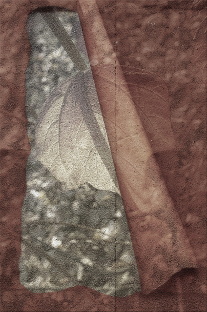 jesieni w tle - Zdjęcie, obraz