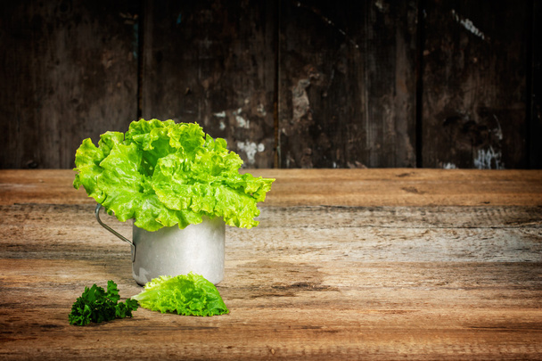 lettuce - Фото, изображение