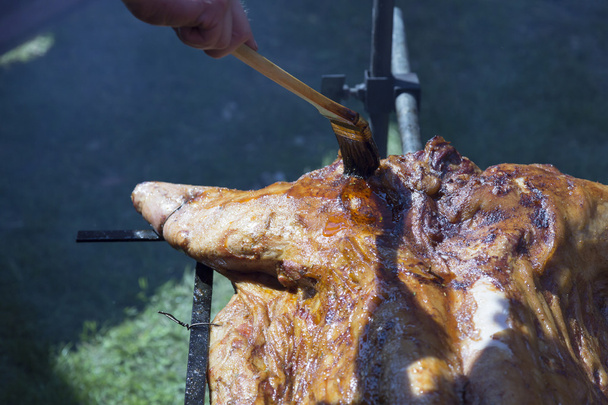 Barbecueën varkensvlees - hele varken - Foto, afbeelding