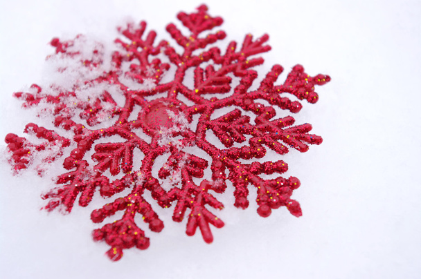 Beautiful snowflakes - Photo, Image