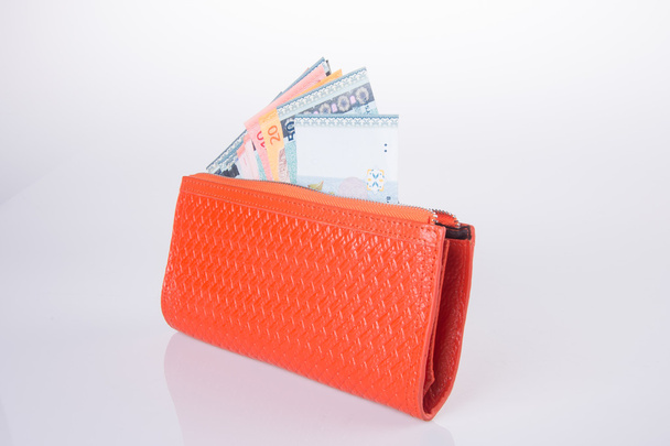 wallet. woman wallet with money on a background - Foto, Bild