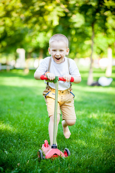 Boy having fun on the grass - Foto, Imagen