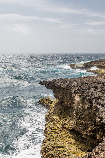 Zwart koraal rotsachtige kust - Foto, afbeelding