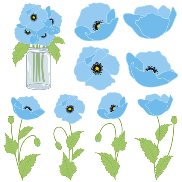 Blue poppies - Vector, Imagen