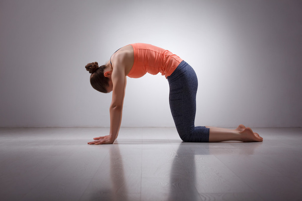 Mooie sportieve fit yogini vrouw praktijken yoga asana marjarias - Foto, afbeelding
