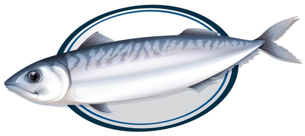 Sardine fish on a plate - Vector, Image
