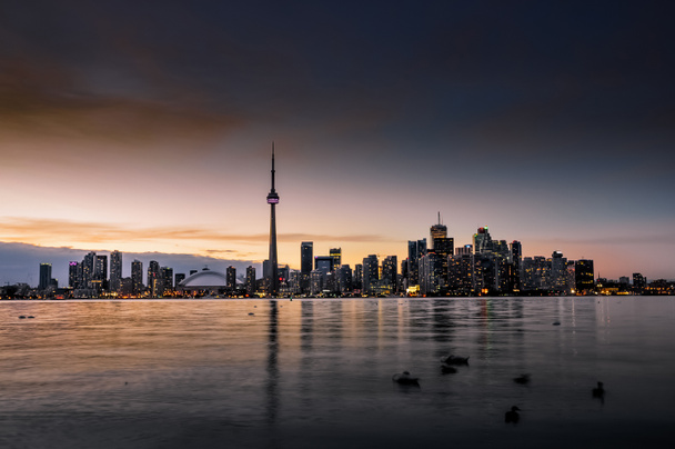 Panorama Toronto, Kanada - Fotografie, Obrázek