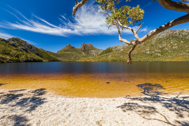 Lake Dove Tasmania  - Photo, Image