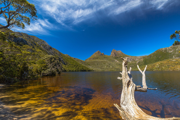 Cradle mountain Tasmánie - Fotografie, Obrázek