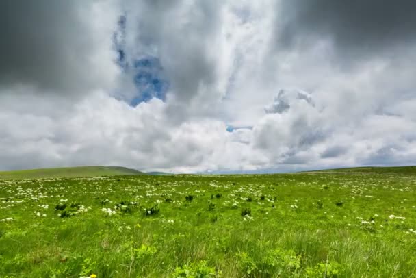 A formação de nuvens sobre prados alpinos
. - Filmagem, Vídeo