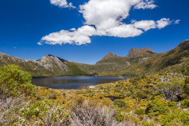 Cuna Montaña Tasmania
 - Foto, imagen