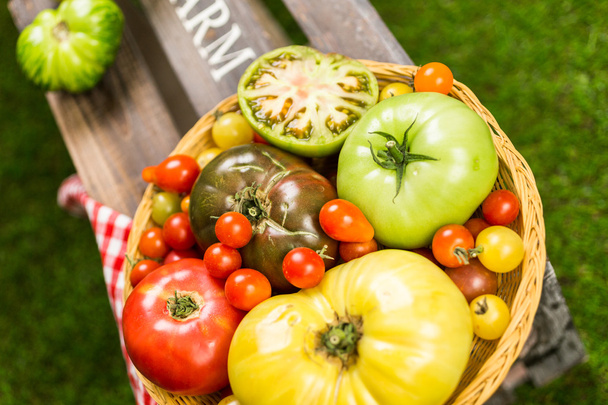 Tuoreet perintökalleudet tomaatit
 - Valokuva, kuva