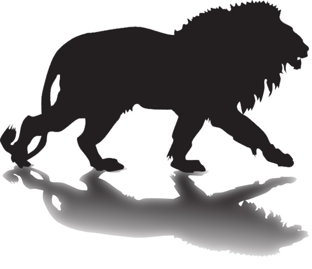 silueta de león con sombra
 - Foto, imagen