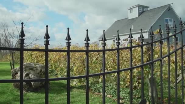 plantação de uvas em Vineyard
 - Filmagem, Vídeo