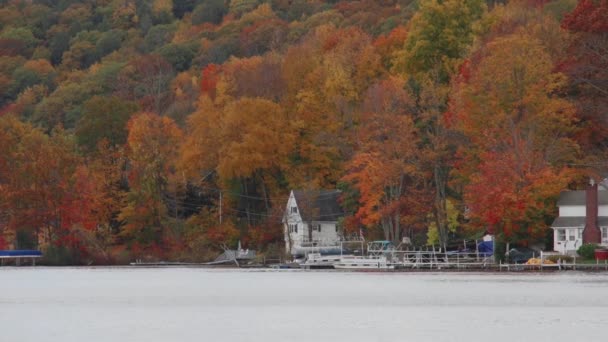 Házak mentén-tó és a gyönyörű erdő  - Felvétel, videó