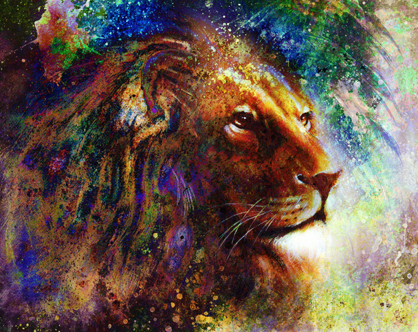 Lion face profile portrait, on colorful abstract feather pattern background. - 写真・画像