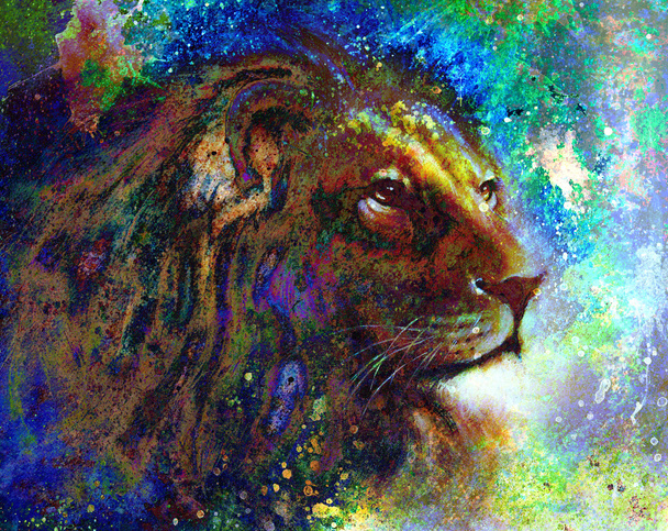 retrato de perfil de rosto de leão, em fundo abstrato colorido
.. - Foto, Imagem