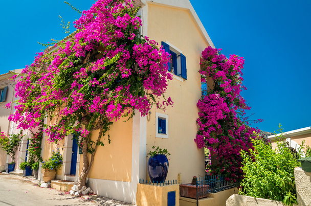 Traditional greek house with flowers in Assos, Kefalonia island, - Photo, Image