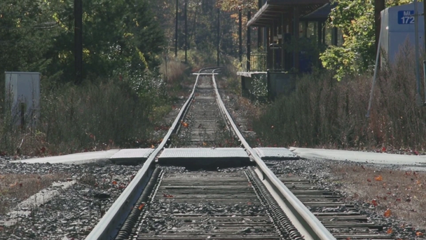 Afgelegen railroad tracks - Video