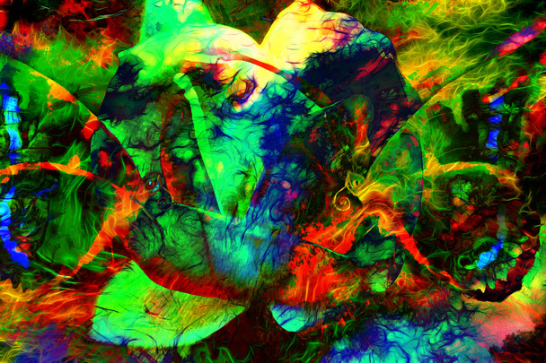 illust de una mariposa coloreada con la flor, medios mezclados, fondo abstracto del color
 - Foto, imagen