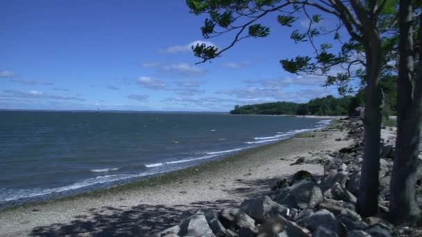 littoral rocheux de Cold Spring Harbor
 - Séquence, vidéo