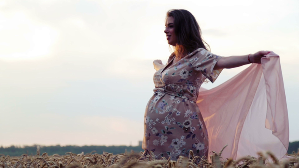 Jonge mooie zwangere vrouw in een tarweveld. Kaukasische zwangere vrouw in een tarweveld. Portret van een zwangere vrouw op de natuur in het veld. - Video