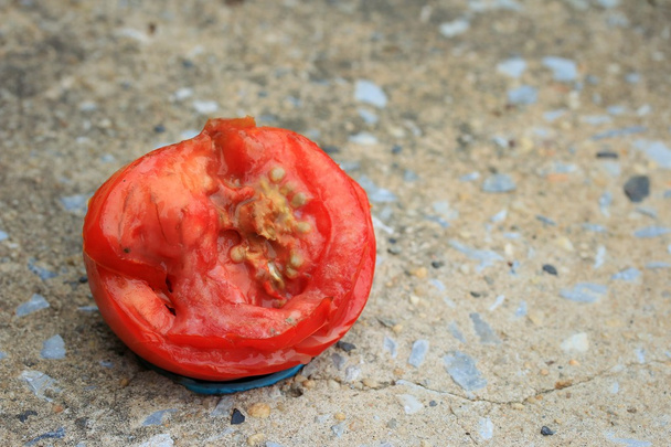 pomodori marci
 - Foto, immagini