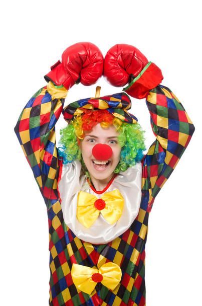 Клоун в боксёрских перчатках, изолированных на белом - Фото, изображение