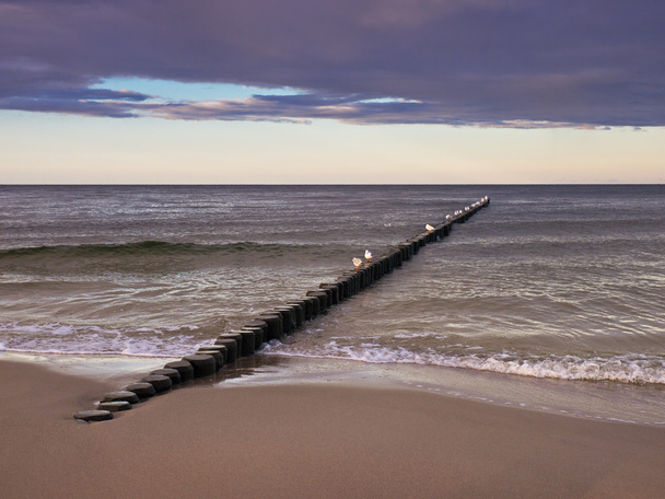 a Balti-tenger partján - Fotó, kép