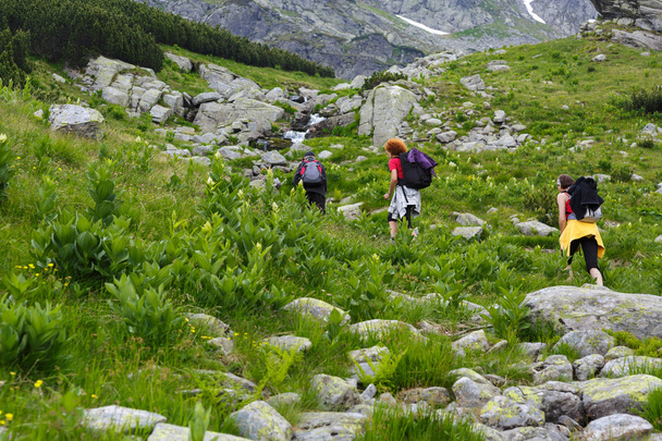 hikers walking on a trail - Fotoğraf, Görsel