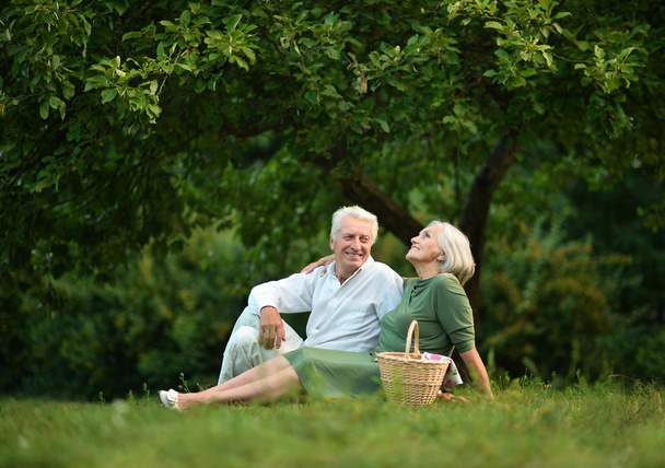 Amusing old couple  in summer park - Valokuva, kuva