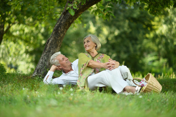 Amusing old couple on picnic - Photo, Image