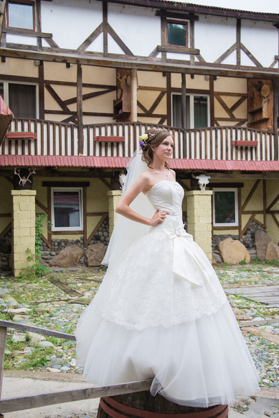 Beautiful bride on wedding day - Фото, зображення